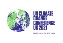 COP26 brings countries together to protect world’s forests