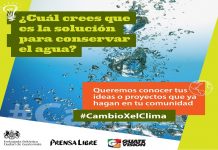 Campaign seeks innovative ideas to protect the environment