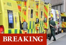 Covid death toll in UK hospitals increases by 728 as 7-year-old child dies from virus | UK | News (Reports)