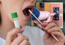 Covid surge testing areas EXTENDED: Full list of postcodes as UK tests for new variant | UK | News (Reports)