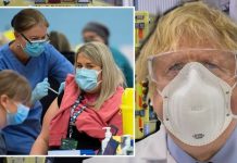 Covid testing areas: Full list of postcodes as UK launches tests for South African variant | UK | News (Reports)