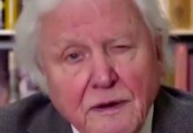 David Attenborough health fears at security council as fans say ‘it’s worrying me’ | UK | News (Reports)