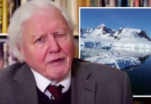 David Attenborough warns of ‘unprecedented threats’ in heartbreaking plea to world leaders | UK | News (Reports)
