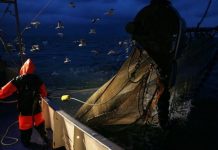 EU fishing crisis: Brussels under fire for failing to police protected areas | UK | News (Reports)