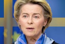 EU news: Brexit could spark ‘resurgence of Euroscepticism’ in Sweden | UK | News (Reports)
