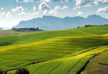 EUSTICE SETS OUT APPROACH FOR FUTURE AGRICULTURE POLICY