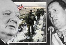 Falklands fury: Argentina offered to buy islands and have Britain ‘surrender all rights’ | UK | News (Reports)