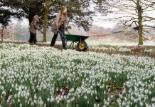 First signs of spring as icy blast set to hammer home | UK | News (Reports)