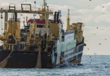Fishing news: Fight launched to ban bottom trawling in UK after supertrawlers battle | UK | News (Reports)