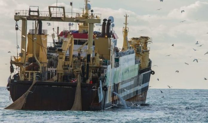Fishing news: Fight launched to ban bottom trawling in UK after supertrawlers battle | UK | News