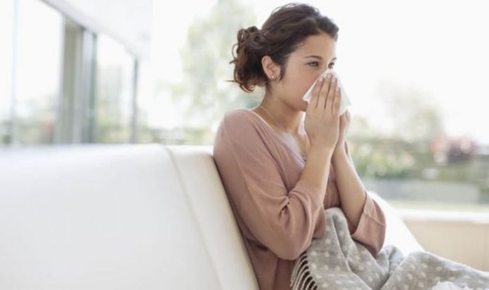 Hayfever warning: Warm weather change will trigger freak early winter pollen explosion | UK | News