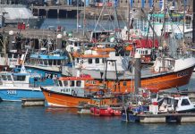 Increased support for fishing and shellfish businesses