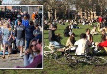 London news: Brits flock to packed-out parks despite lockdown ‘stay home’ warnings | UK | News (Reports)