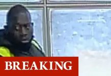 London news: Police search for man after girl, 7, carried away in street | UK | News (Reports)