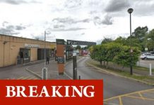 McDonald’s siege: Armed police rush to scene of outlet near Bristol – helicopter deployed | UK | News (Reports)