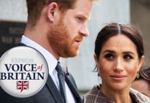 Meghan Markle and Prince Harry should not be welcomed back to royal life, says poll | Royal | News (Reports)