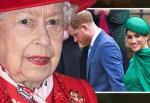 Meghan Markle ‘would not be confined by royal protocol’ after marrying Prince Harry | Royal | News (Reports)