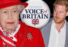 Meghan and Harry should never be allowed to re-enter royal life – poll | Royal | News (Reports)