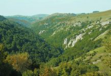 Natural England Chair welcomes Dasgupta Review