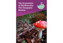 Nature is a blind spot in economics that we ignore at our peril, says Dasgupta Review