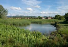 New £10 million fund to drive private sector investment in nature