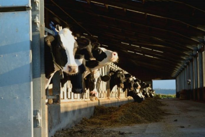 New Code of Conduct to ensure a fairer dairy supply chain