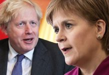 Nicola Sturgeon told independence ‘will make Brexit seem like a walk in the park’ | UK | News (Reports)