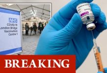 Oxford Covid vaccine study shows UK following right approach and jab CAN halt transmission | UK | News (Reports)