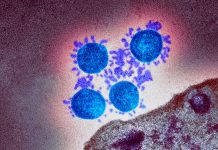 PHE statement on Variant of Concern and new Variant Under Investigation