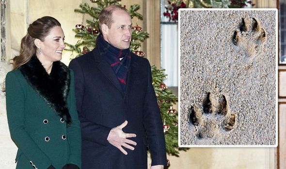 PRINCE WILLIAM KATE MIDDLETON DOG PET ROYAL FAMILY