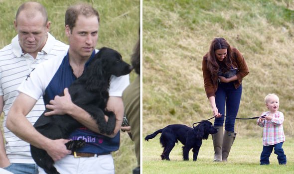 PRINCE WILLIAM KATE MIDDLETON DOG PET ROYAL FAMILY PRINCE WILLIAM KATE MIDDLETON DOG PET ROYAL FAMILY