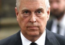 Prince Andrew news: Duke masterminded plan to save Royal Family treasures from destruction | Royal | News (Reports)