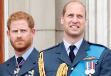 Prince Harry and Prince William heartbreak as rift NOT over – progress ‘still minimal’ | Royal | News (Reports)