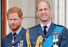 Prince Harry and Prince William should do TV showdown – expert says Diana would want peace | Royal | News (Reports)