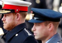 Prince Harry and Prince William’s relationship pushed ‘beyond repair’ by Finding Freedom | Royal | News (Reports)