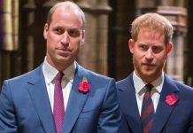 Prince Harry and Prince William’s relationship ‘not where it was’ post-Megxit – source | Royal | News (Reports)
