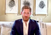 Prince Harry appears laid back as fans praised special rugby video | Royal | News (Reports)