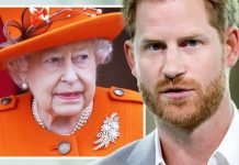 Prince Harry ‘could still wield Queen’s powers’ despite calls to axe him of royal titles | Royal | News (Reports)