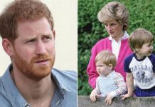 Prince Harry ‘determined’ to unveil Diana statue on her 60th birthday in the UK | Royal | News (Reports)