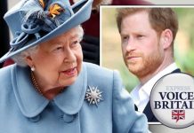 Prince Harry faces calls to be cut from Royal Family line of succession | Royal | News (Reports)