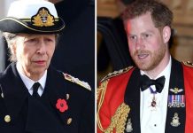 Prince Harry military titles replacement: Should it be Princess Anne, William or Charles? | Royal | News (Reports)