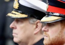 Prince Harry news: ‘Beggars belief’ Duke stripped of roles while Prince Andrew keeps his | Royal | News (Reports)