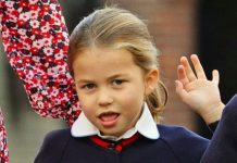 Prince Harry news: Duke sets blueprint for Princess Charlotte in public gaze | Royal | News (Reports)