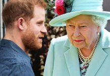 Prince Harry phones Queen for urgent talk – Duke could return in private jet for Philip | Royal | News (Reports)