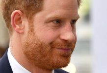 Prince Harry ‘reiterated promise to never embarrass’ Royal Family in call with the Queen | Royal | News (Reports)