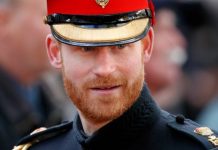 Prince Harry sparks ‘serious’ constitutional crisis fear as Duke ‘breath away’ from throne | Royal | News (Reports)