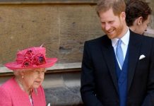 Prince Harry talks to Queen ‘more often’ than Charles or William as pair have unique bond | Royal | News (Reports)