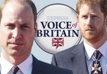 Prince William and Prince Harry will never repair their relationship – POLL | Royal | News (Reports)