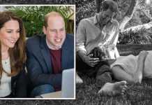 Prince William news: Prince Harry and Meghan’s ‘timing’ of second child is tribute to Duke | Royal | News (Reports)