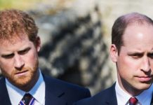 Prince William’s ongoing feud with Harry has dealt ‘devastating blow’ to royal reputation | Royal | News (Reports)